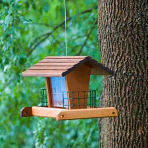Bird Feeders