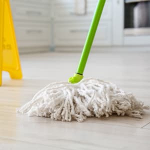Brooms, Mops & Brushes