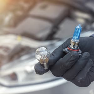 Bulbs & Fuses