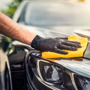 Car Cleaning & Air Fresheners