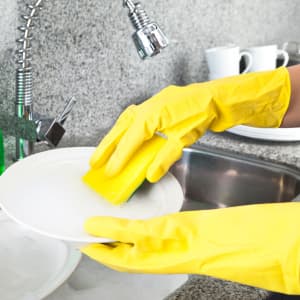 Cleaning Gloves