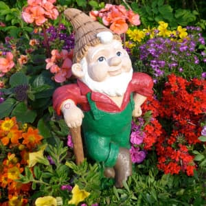 Decorative & Novelty