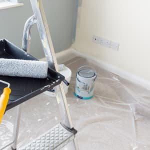 Dust Sheets & Protectors