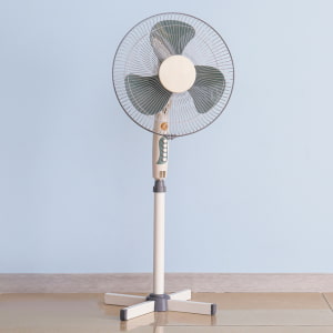 Electric Fans