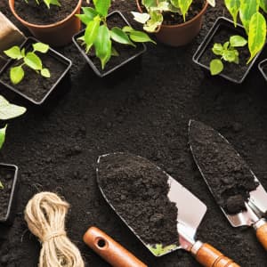 Garden Supplies
