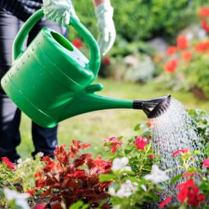 Hoses, Watering & Accessories