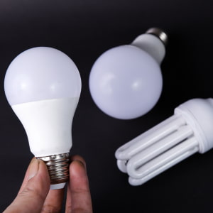 Lighting & Light Bulbs