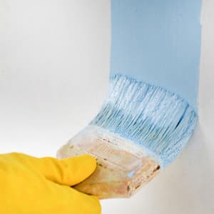 Paint Brushes
