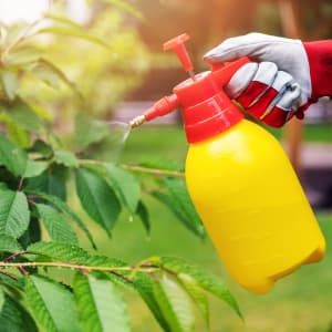 Pest Killers & Deterrents