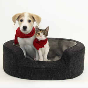 Pet Beds