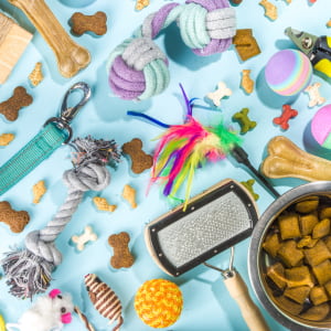 Pet Toys & Treats