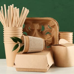 Plastic & Disposable