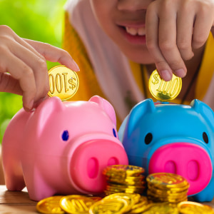 Pocket Money Toys