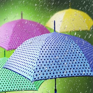 Umbrellas