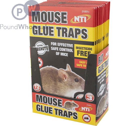 https://www.poundwholesale.co.uk/media/catalog/product/cache/36c4175193b042e61de0d18e625fb493/2/1-2270-13274/mouse-glue-traps-3-pack-cdu.jpg