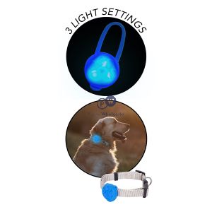 Smart Choice Dog Walk Flashing Led Safety Blinker Assorted Colours