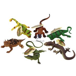 Reptiles Assorted Cdu Lizards