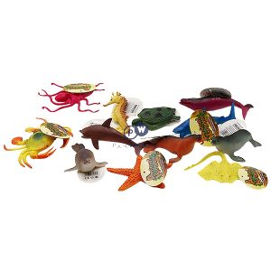 Sea Animals Assorted Cdu Box