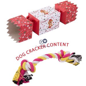 Christmas Time Dog Crackers With Gift Cdu