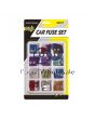 36pc CAR FUSE SET