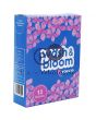 WASH & BLOOM NON-BIO WASHING POWDER