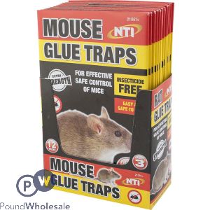 Mouse Glue Traps 3 Pack CDU