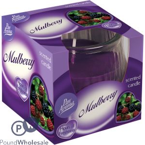 Scented Pot Candle - Mulberry