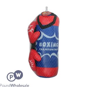 Punch Bag & Gloves