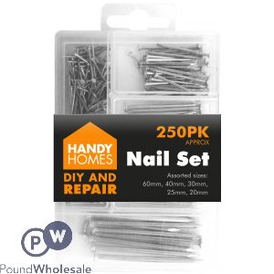 HANDY HOMES 250PK NAIL SET