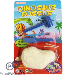 Dinosaur Fossils