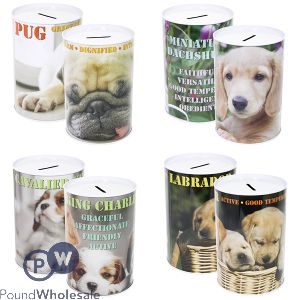 Dog Money Tin 10cm X 15cm Assorted