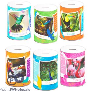 EXOTIC BIRDS MONEY TIN 145MM X 110MM ASSORTED