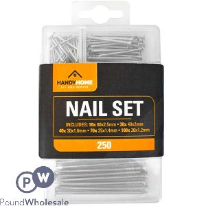 Handy Homes Assorted Nail Set 250 Pack
