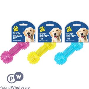 Kingdom Spiky Squeaky Dog Toy Assorted Colours