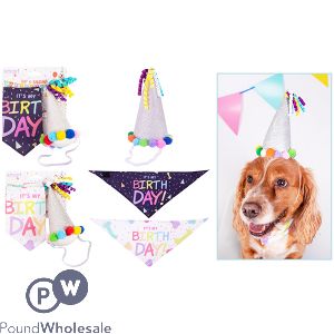 Smart Choice Bandanna &amp; Party Hat For Dogs Set Assorted