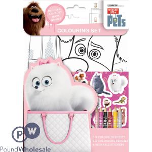 Secret Life Of Pets Contains 4 Chunky Colouring Pencils 8 Colouring Sheets And Stickers With Cut Out Door Hanger