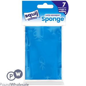 Squij Super-absorbent Sponge Assorted Colours