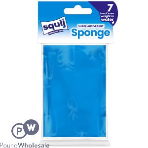 SQUIJ SUPER-ABSORBENT SPONGE ASSORTED COLOURS