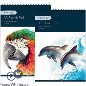 A3 Artists Sketch Pad 20 Sheet Assorted