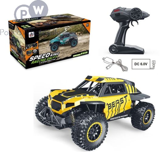 Speed King RC Rally Car