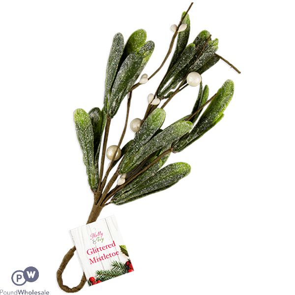 Christmas Glittered Mistletoe Hanging Decoration 23.5cm X 10cm