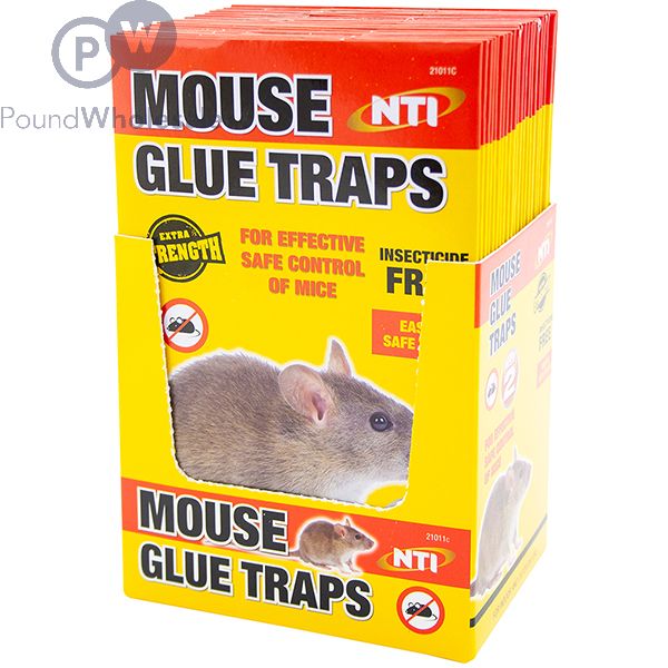 Wholesale Extra Strength Mouse Glue Traps Cdu Pound Wholesale