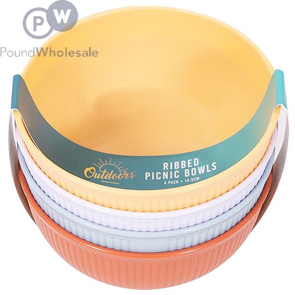 Plastic picnic bowls sales