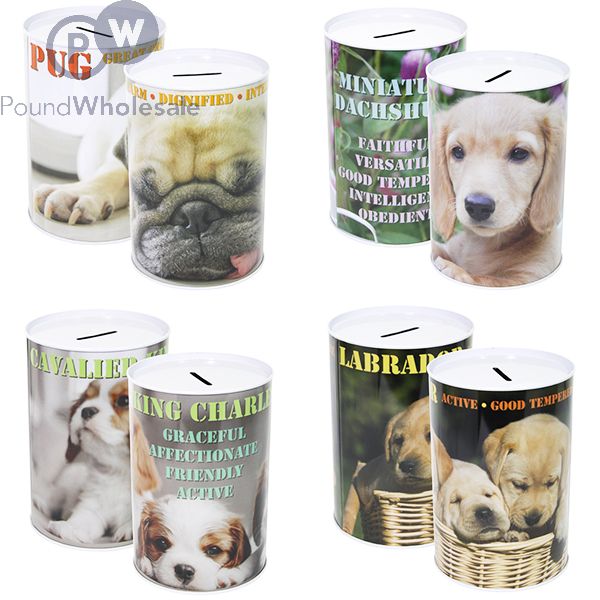 Wholesale Dog Money Tin 10cm X 15cm Assorted Pound Wholesale