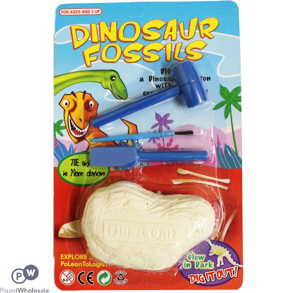 Dinosaur Fossils