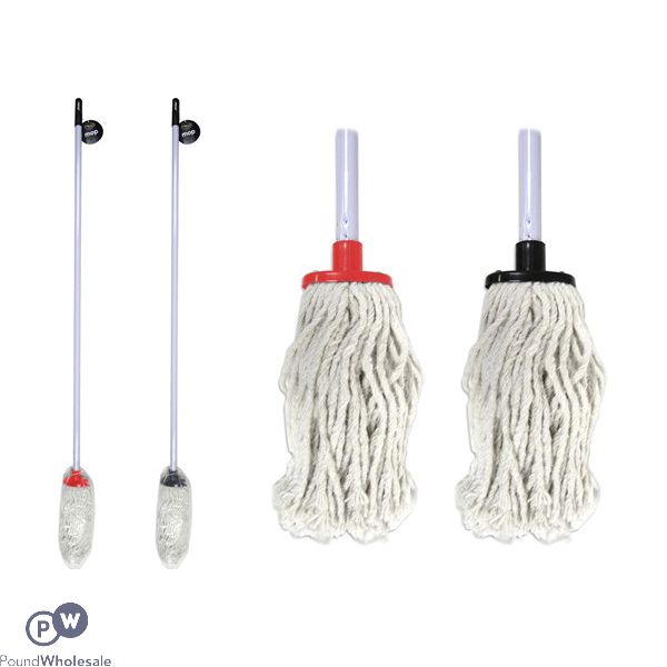 Floor Mop & Handle 2 Assorted Colours