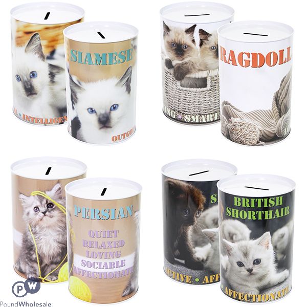 Cat Money Tin 10cm X 15cm Assorted