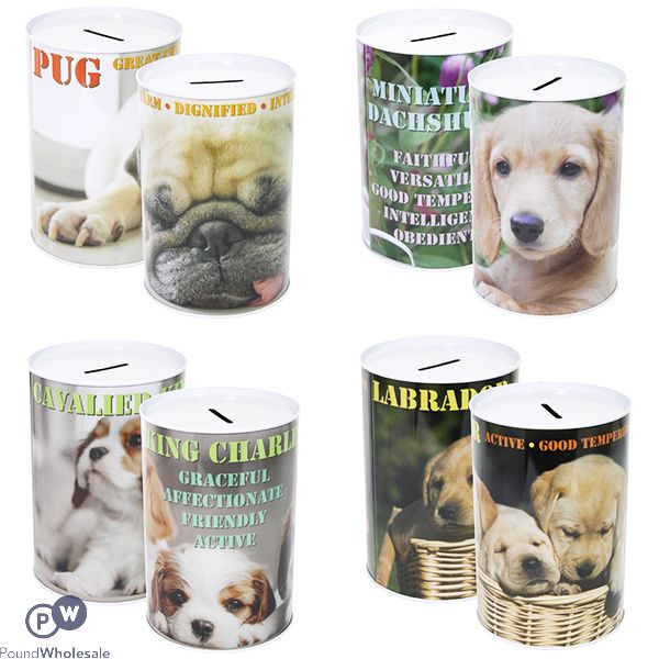 Dog Money Tin 10cm X 15cm Assorted