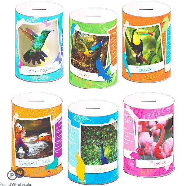 EXOTIC BIRDS MONEY TIN 145MM X 110MM ASSORTED