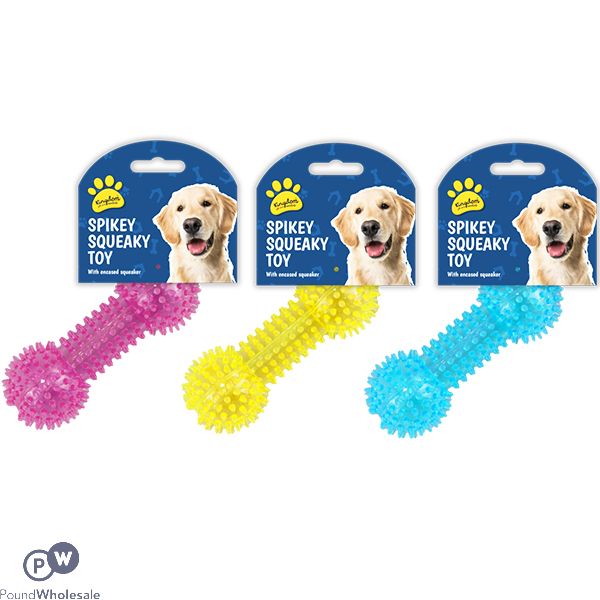 Kingdom Spiky Squeaky Dog Toy Assorted Colours